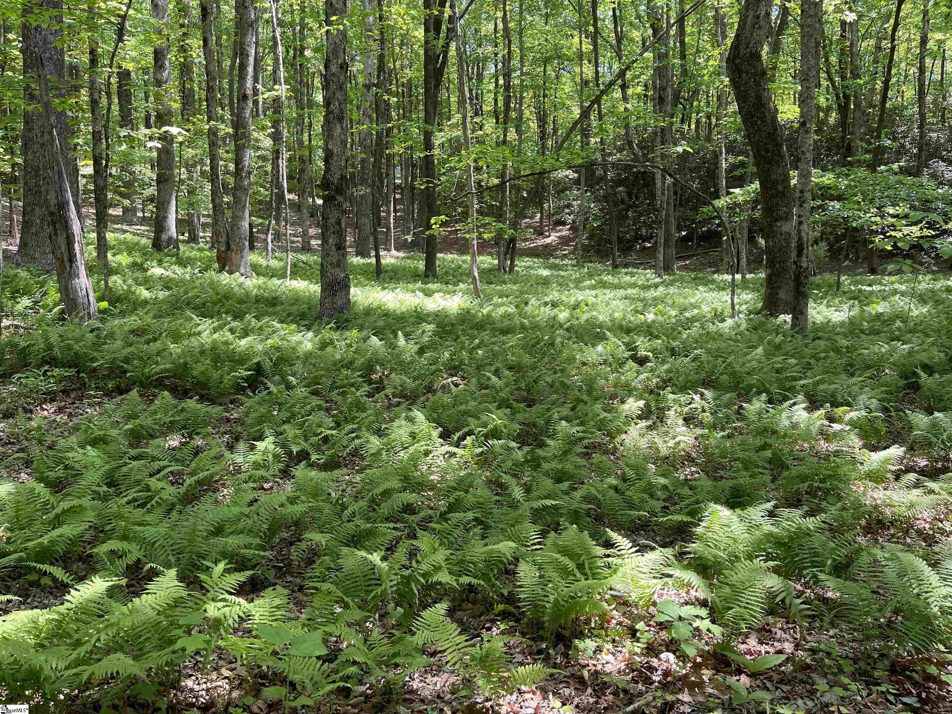 127 Conifer Falls Road Cleveland, SC 29635 - Photo 30 of 33