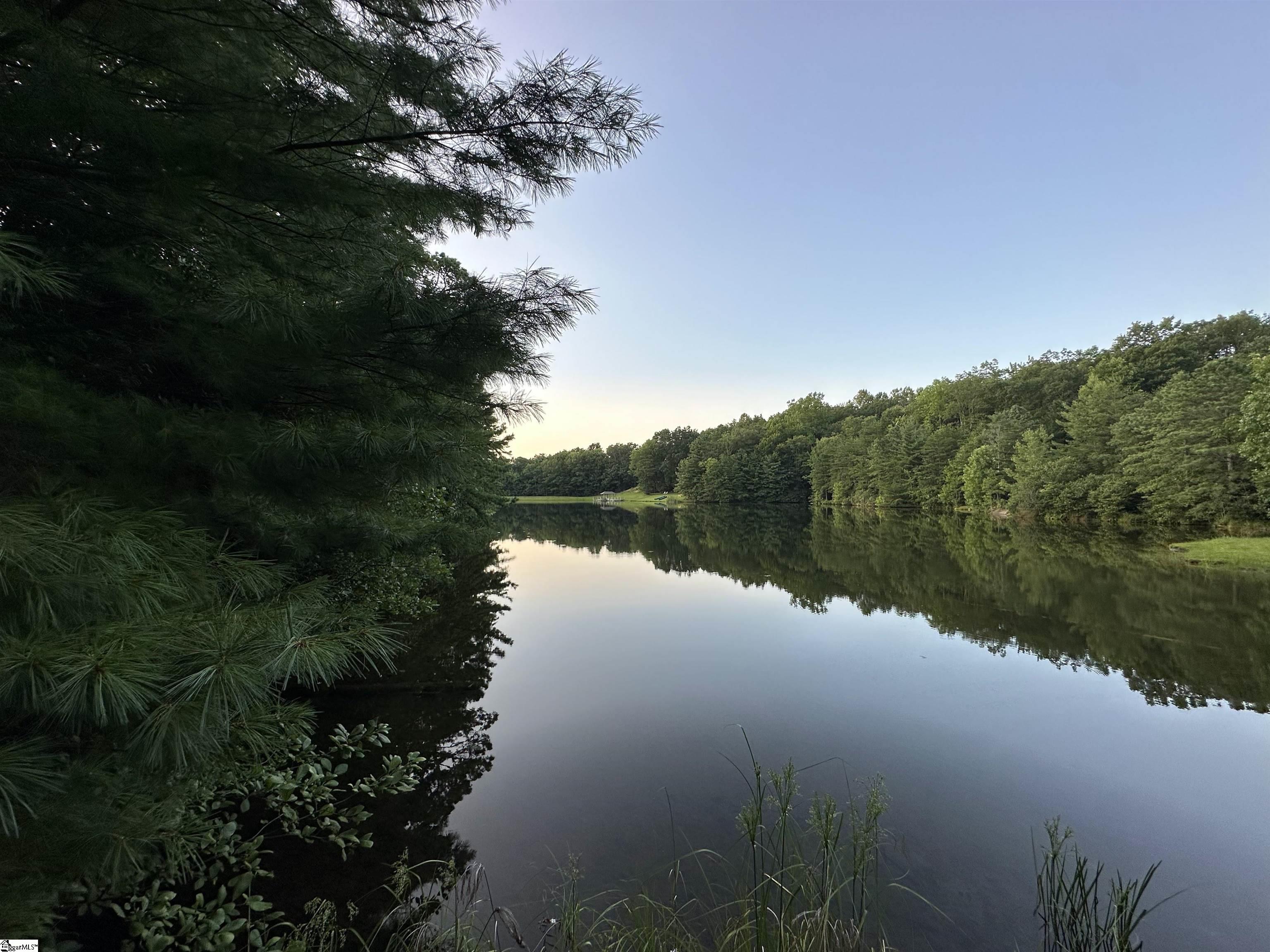 127 Conifer Falls Road Cleveland, SC 29635 - Photo 31 of 33
