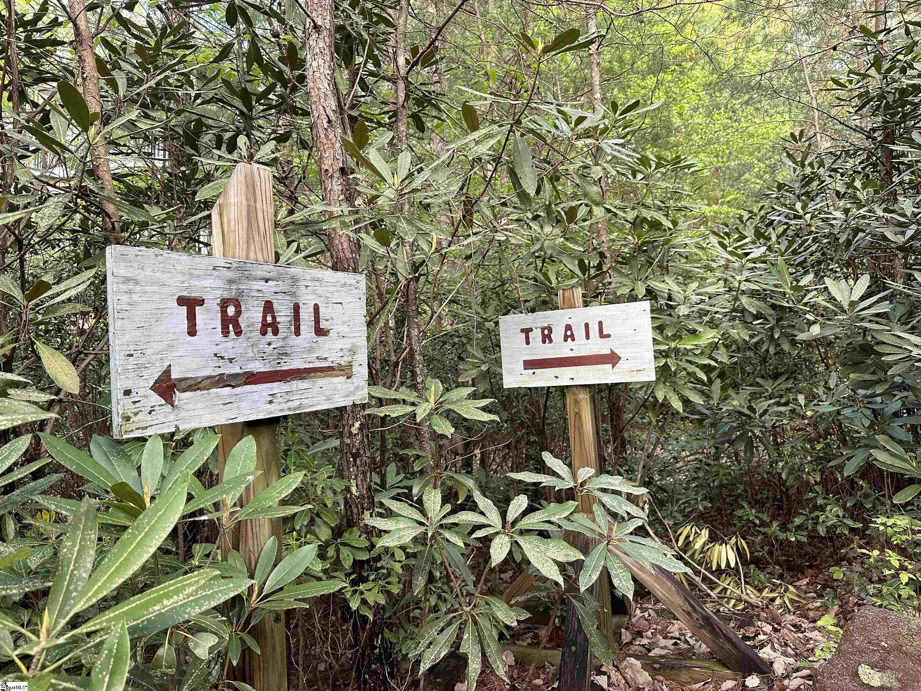 127 Conifer Falls Road Cleveland, SC 29635 - Photo 32 of 33