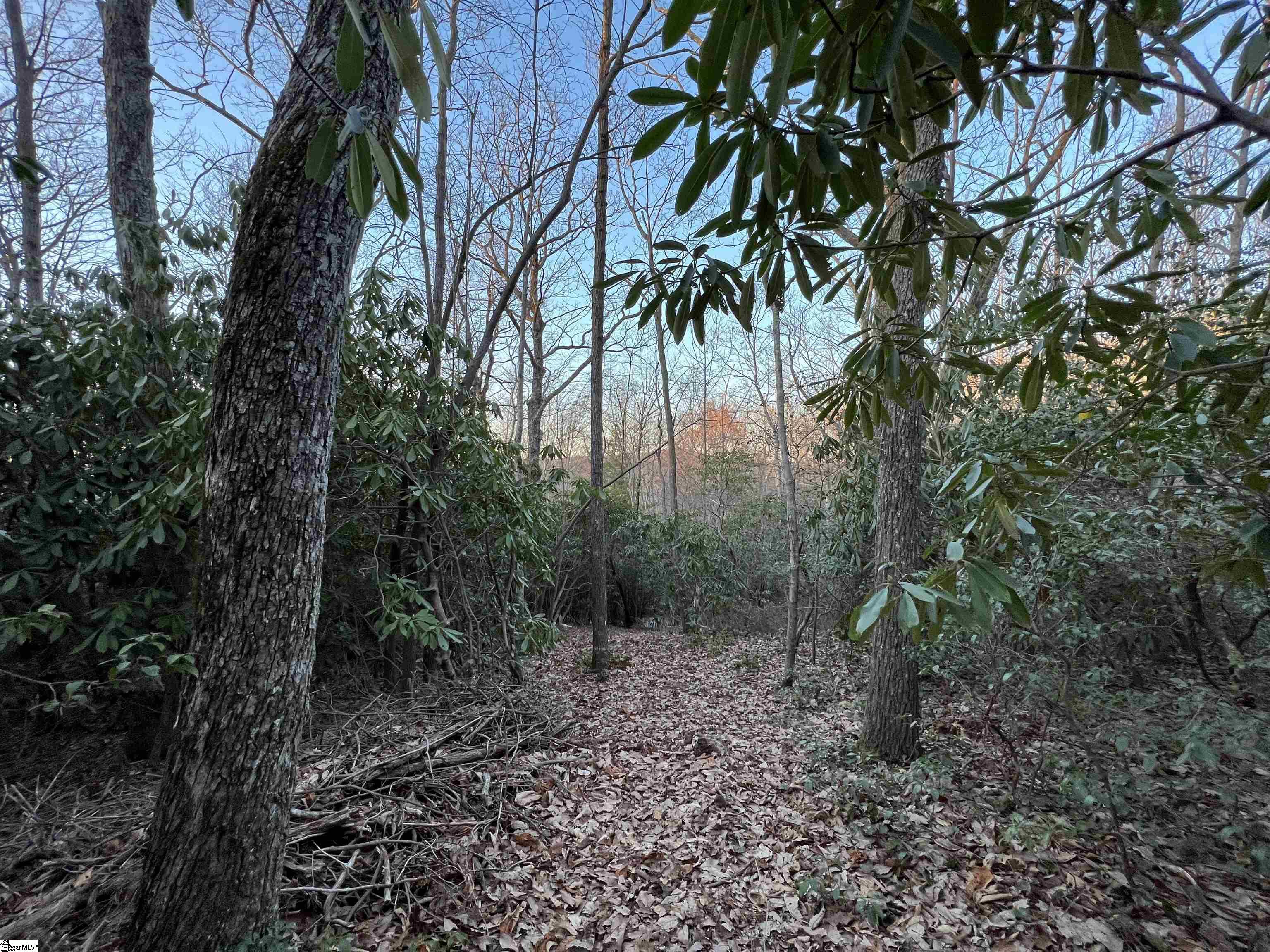 127 Conifer Falls Road Cleveland, SC 29635 - Photo 4 of 33