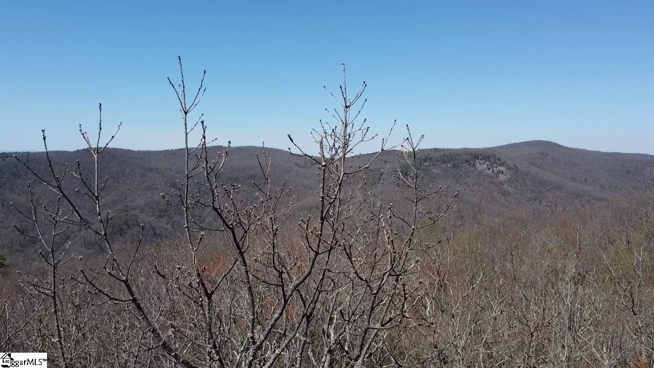 127 Conifer Falls Road Cleveland, SC 29635 - Photo 5 of 33