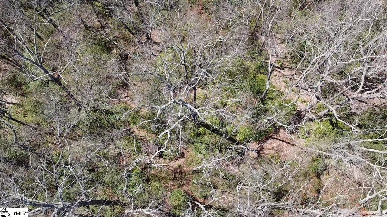 127 Conifer Falls Road Cleveland, SC 29635 - Photo 7 of 33