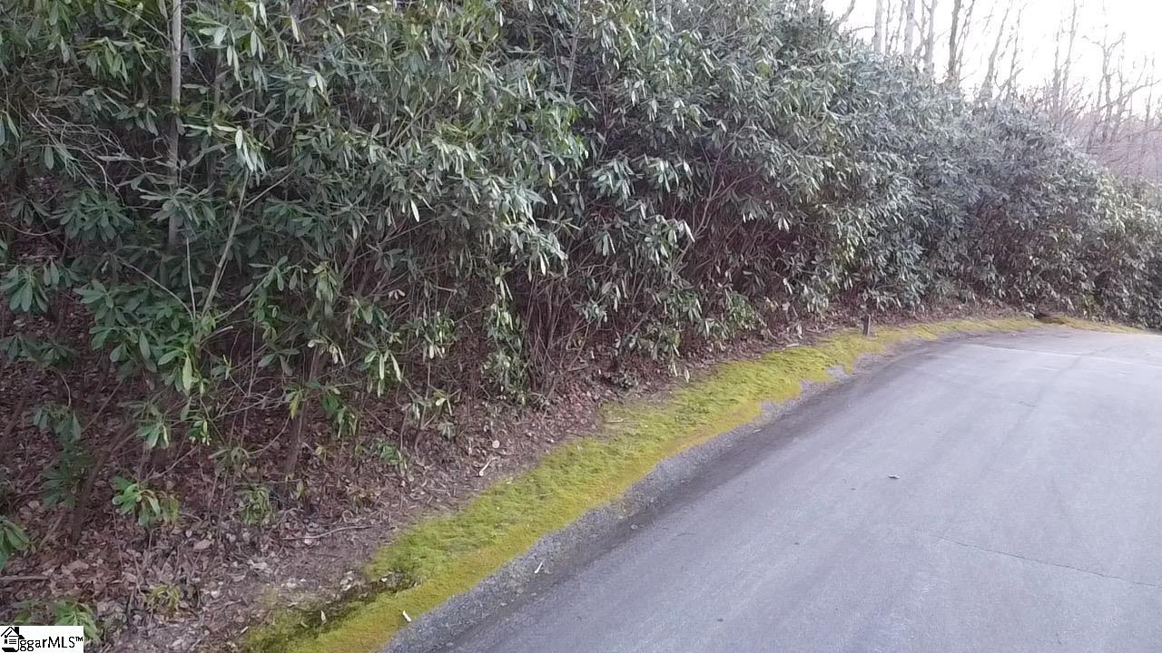 127 Conifer Falls Road Cleveland, SC 29635 - Photo 8 of 33