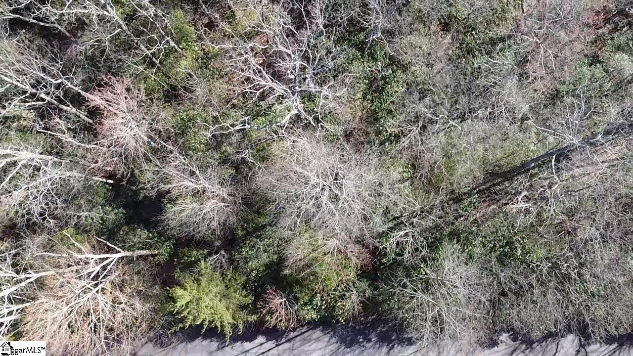 127 Conifer Falls Road Cleveland, SC 29635 - Photo 9 of 33