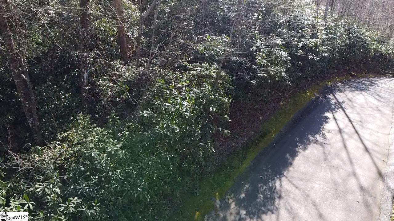 127 Conifer Falls Road Cleveland, SC 29635 - Photo 10 of 33