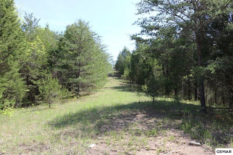 0 Lot 35 Buck Horn Road Sevierville, TN 37876 - Photo 30 of 30