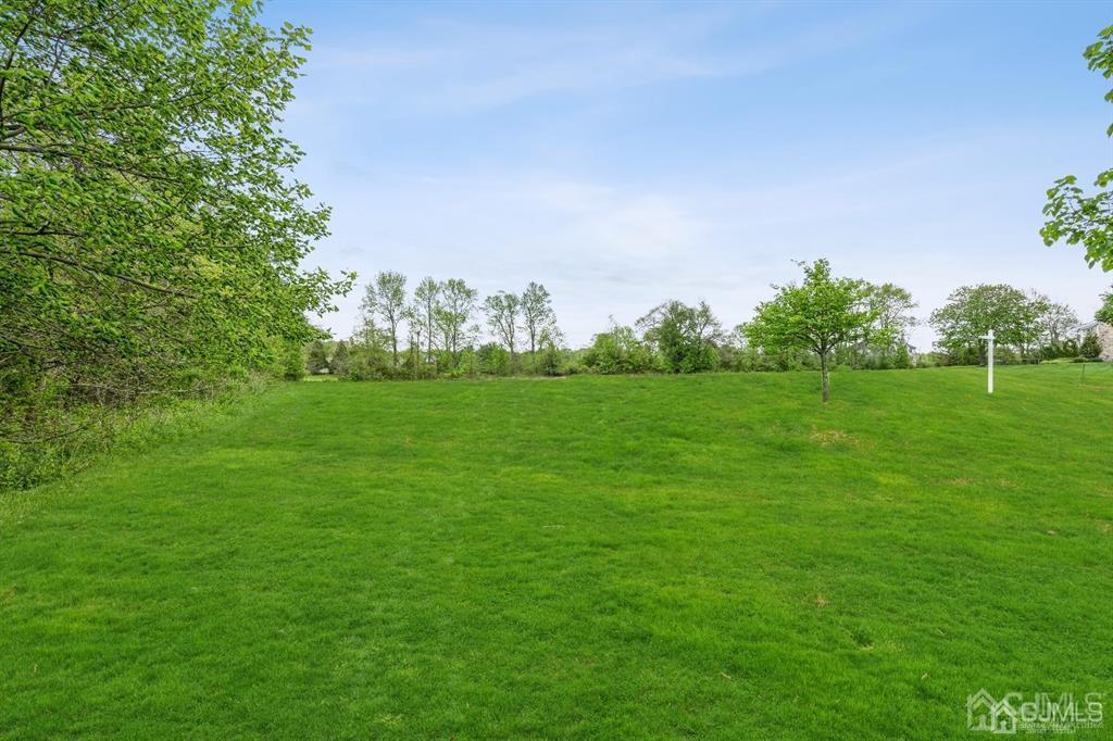 a view of a grassy field with trees