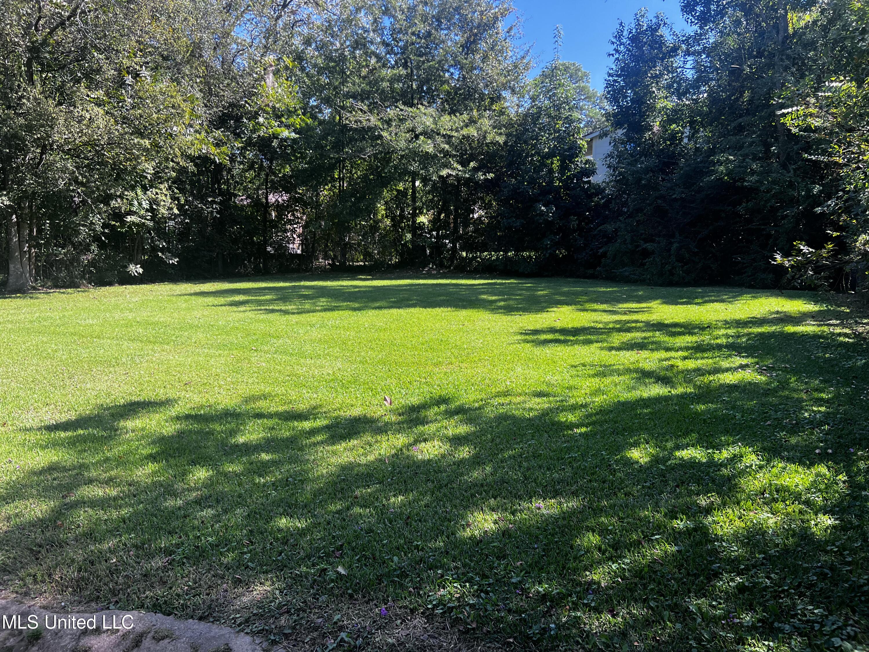 742 Brandon Avenue Jackson, MS 39209 - Photo 8 of 10 742 Brandon Ave backyard