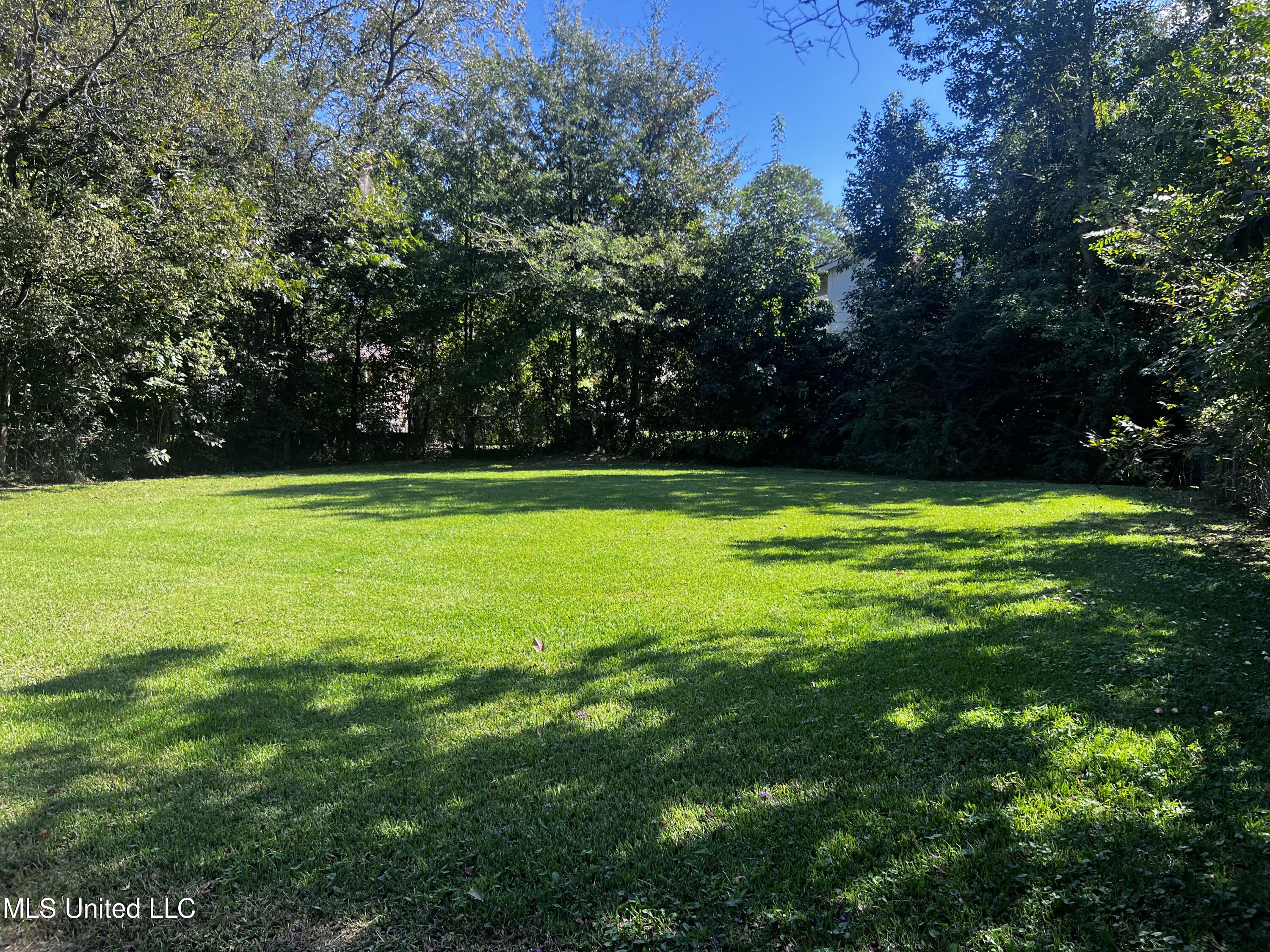 742 Brandon Avenue Jackson, MS 39209 - Photo 9 of 10 742 Brandon backyard 2