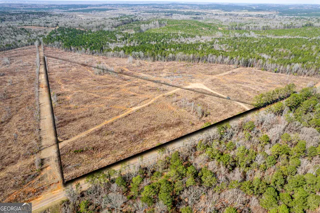 $80,000 | 869 Marion-Ripley Road, Dry Branch, GA 31020