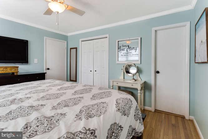 7713 Schelhorn Road Alexandria, VA 22306 - Photo 21 of 43 Gallery Image 21