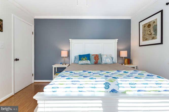 7713 Schelhorn Road Alexandria, VA 22306 - Photo 24 of 43 Gallery Image 24