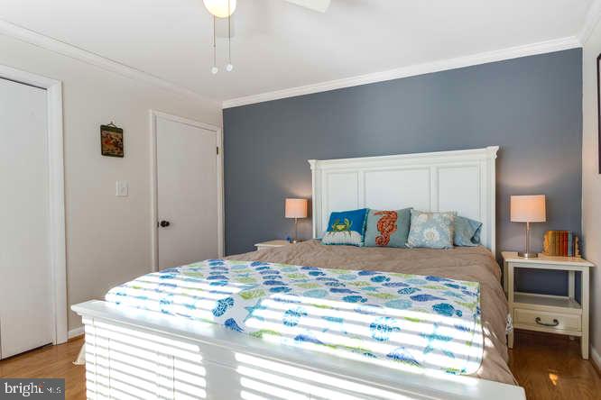 7713 Schelhorn Road Alexandria, VA 22306 - Photo 25 of 43 Gallery Image 25
