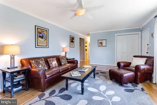 7713 Schelhorn Road Alexandria, VA 22306 - Photo 6 of 43 Gallery Image 6