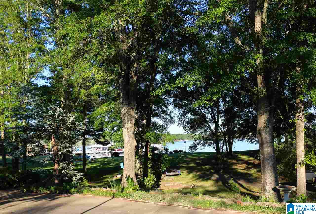 203 Blue Spring Trail Cropwell, AL 35054 - Photo 45 of 50
