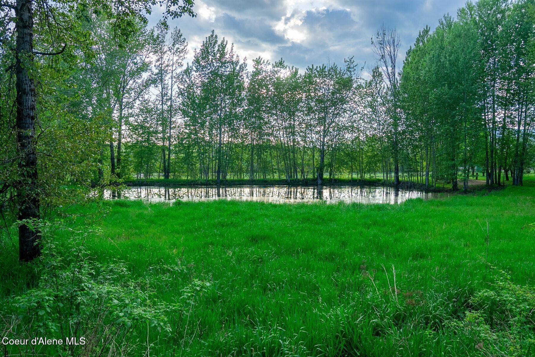 1041 Bottle Bay Road Sagle, ID 83860 - Photo 58 of 67 Natural Pond