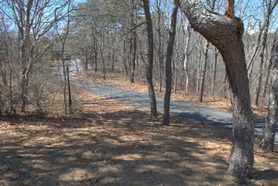 631 Quaker Road North Falmouth, MA 02556 - Photo 15 of 19 a view of a tree in the middle of a yard