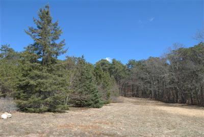 631 Quaker Road North Falmouth, MA 02556 - Photo 5 of 19 a view of a yard with a tree