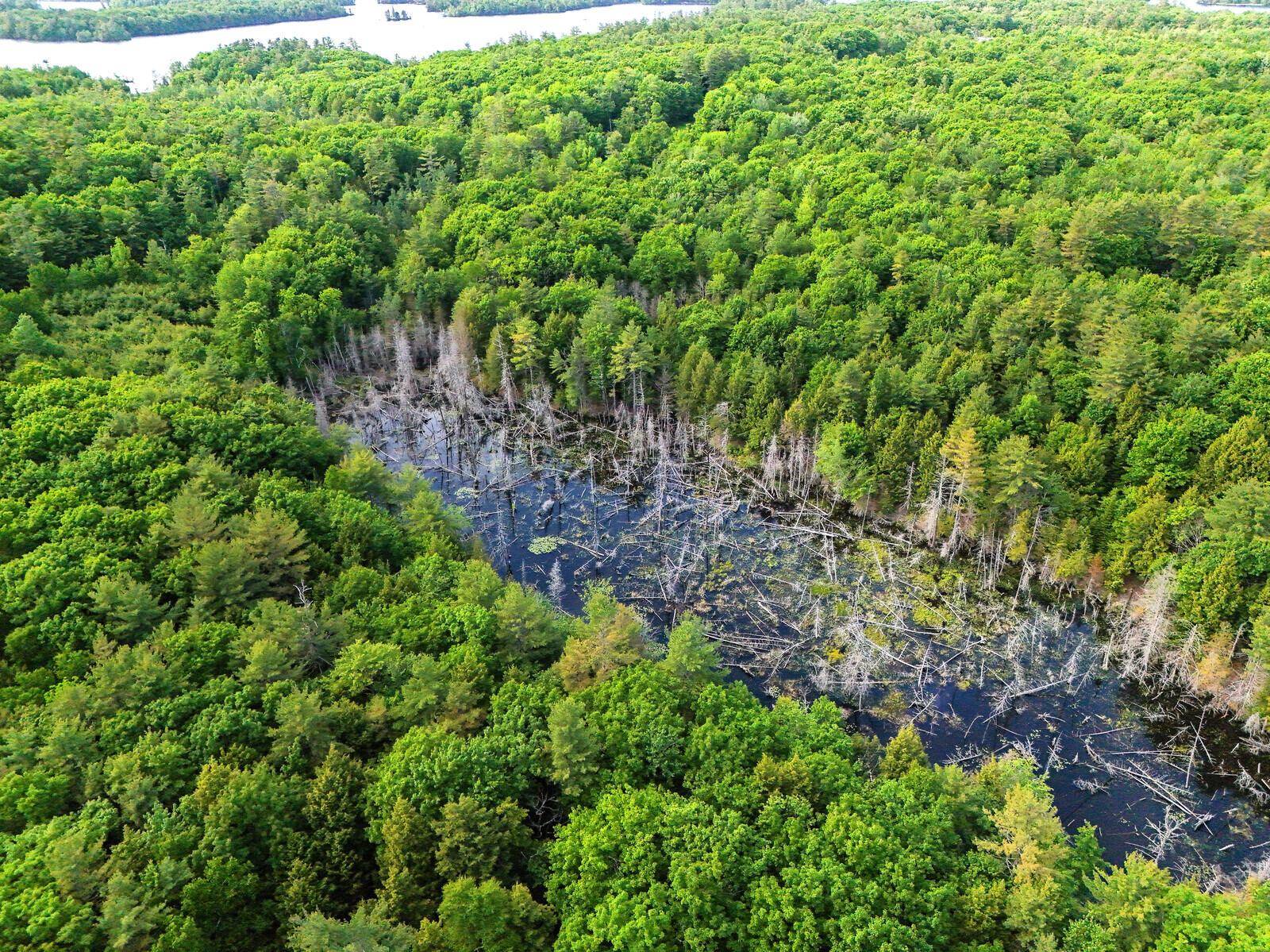 Tbd Pond Road Manchester, ME 04351 - Photo 13 of 20 12_DJI_20240603160729_0149_D_DxO_mls