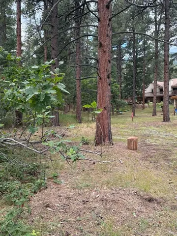 a view of a yard with a tree