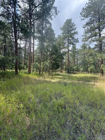 a view of outdoor space with trees all around