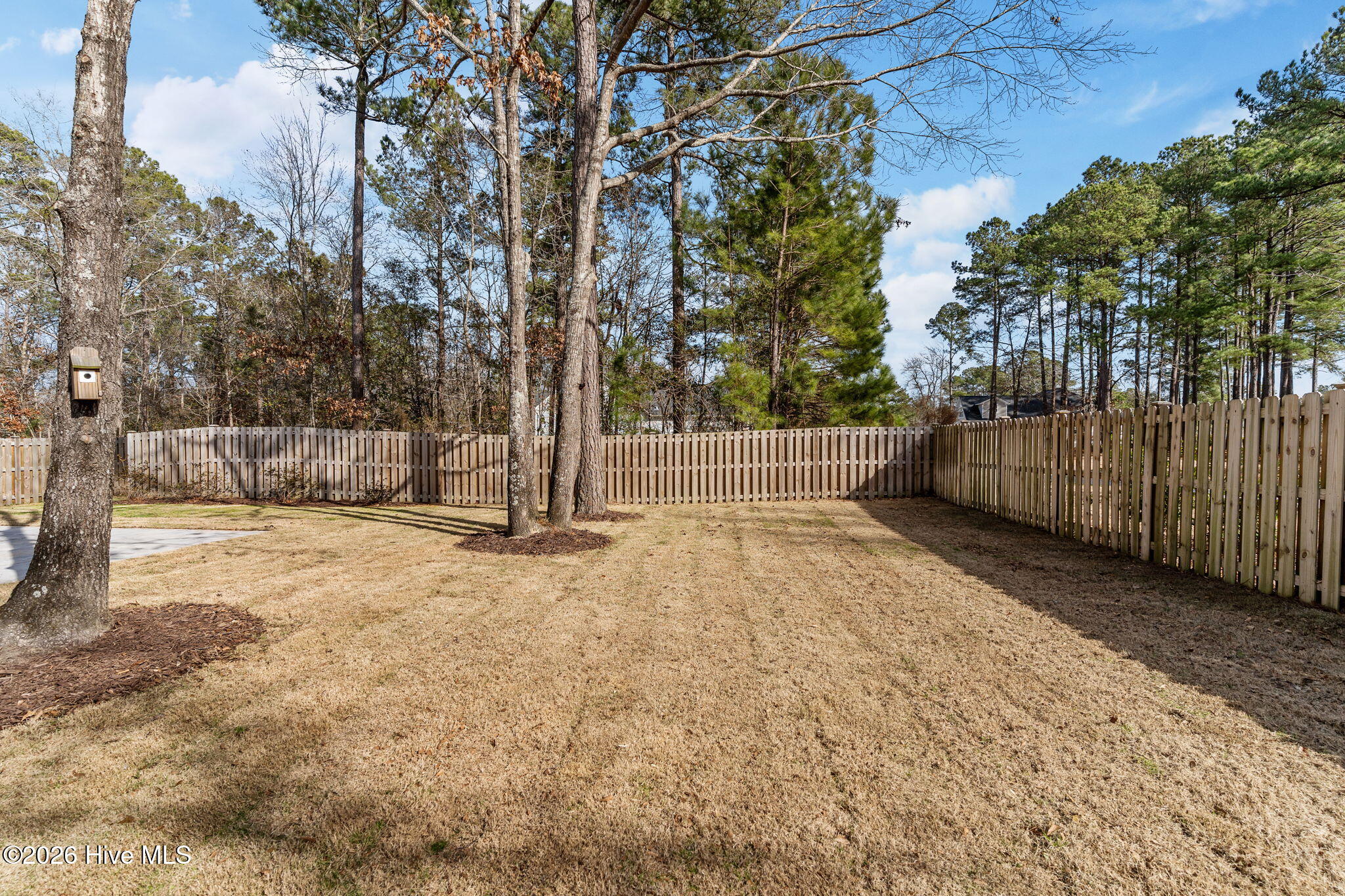 3764 Silver Melon Road Northeast Leland, NC 28451 - Photo 57 of 60 8-web-or-mls-BTS04034