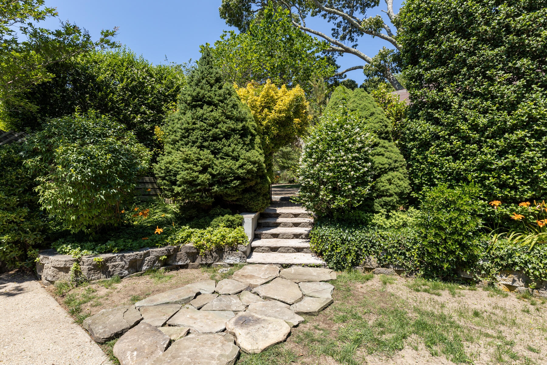 25 Adams Way Eastham, MA 02642 - Photo 52 of 60 a view of a pathway of a yard