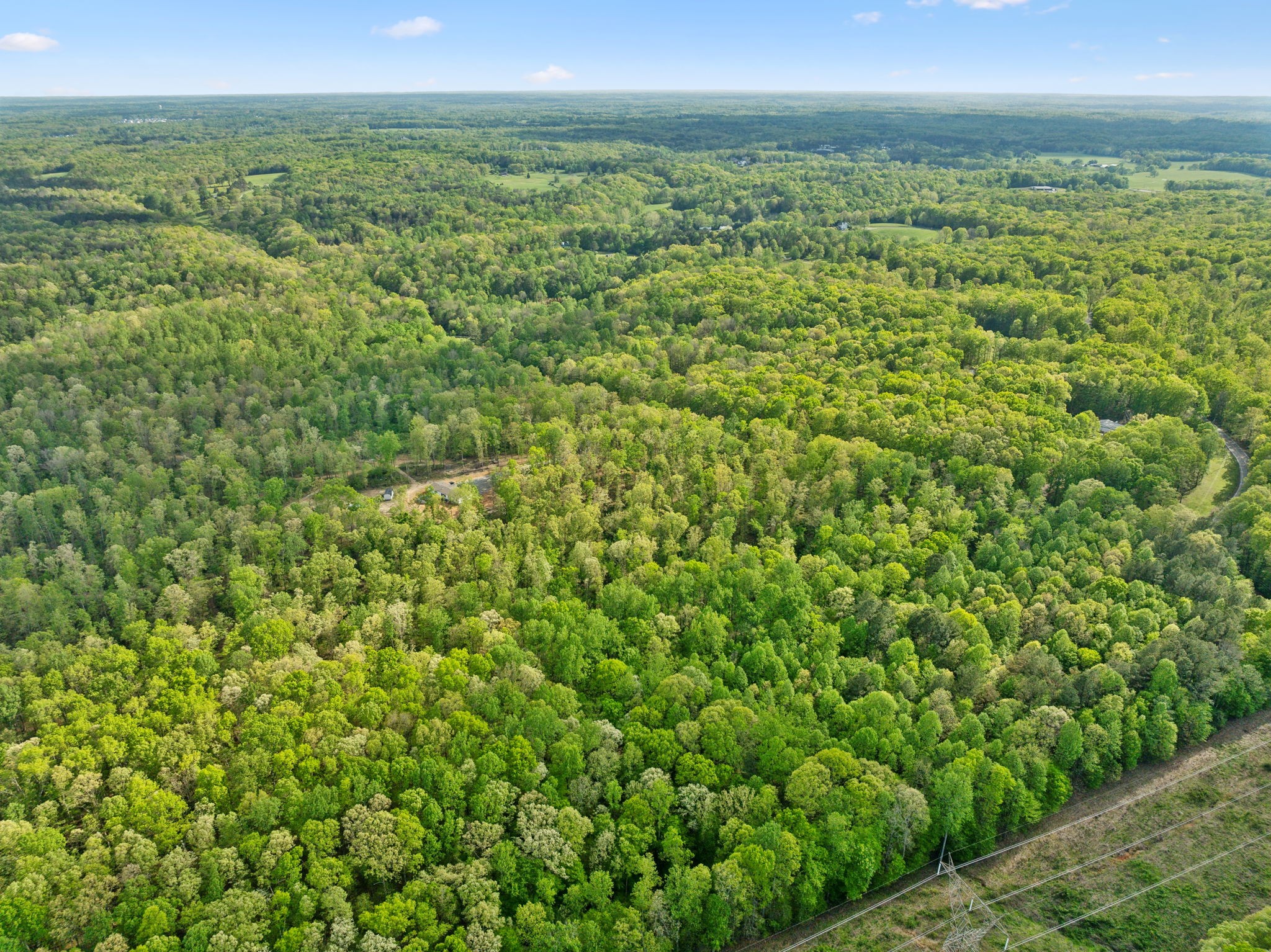 0 Bahne Road Fairview, TN 37062 - Photo 5 of 14 a view of a green field with lots of bushes