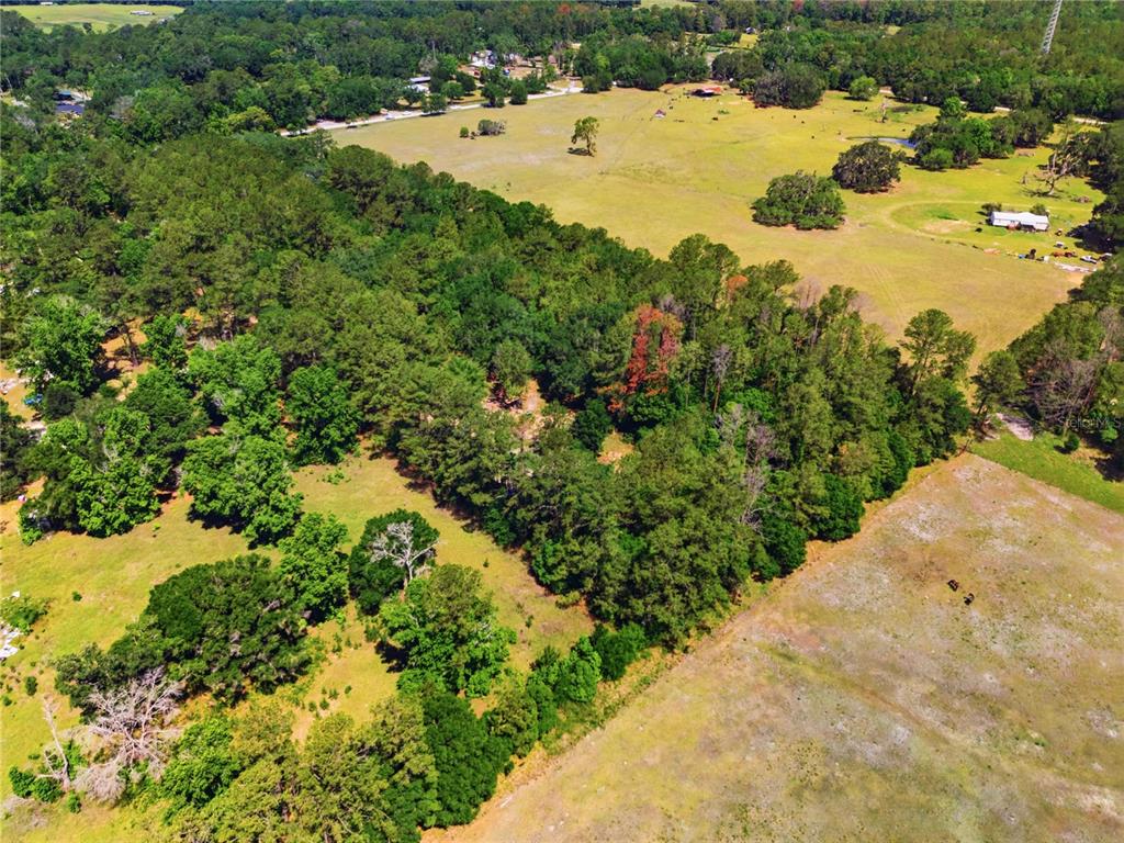 1074 Culbreath Road Brooksville, FL 34602 - Photo 13 of 20 a view of a yard with a tree