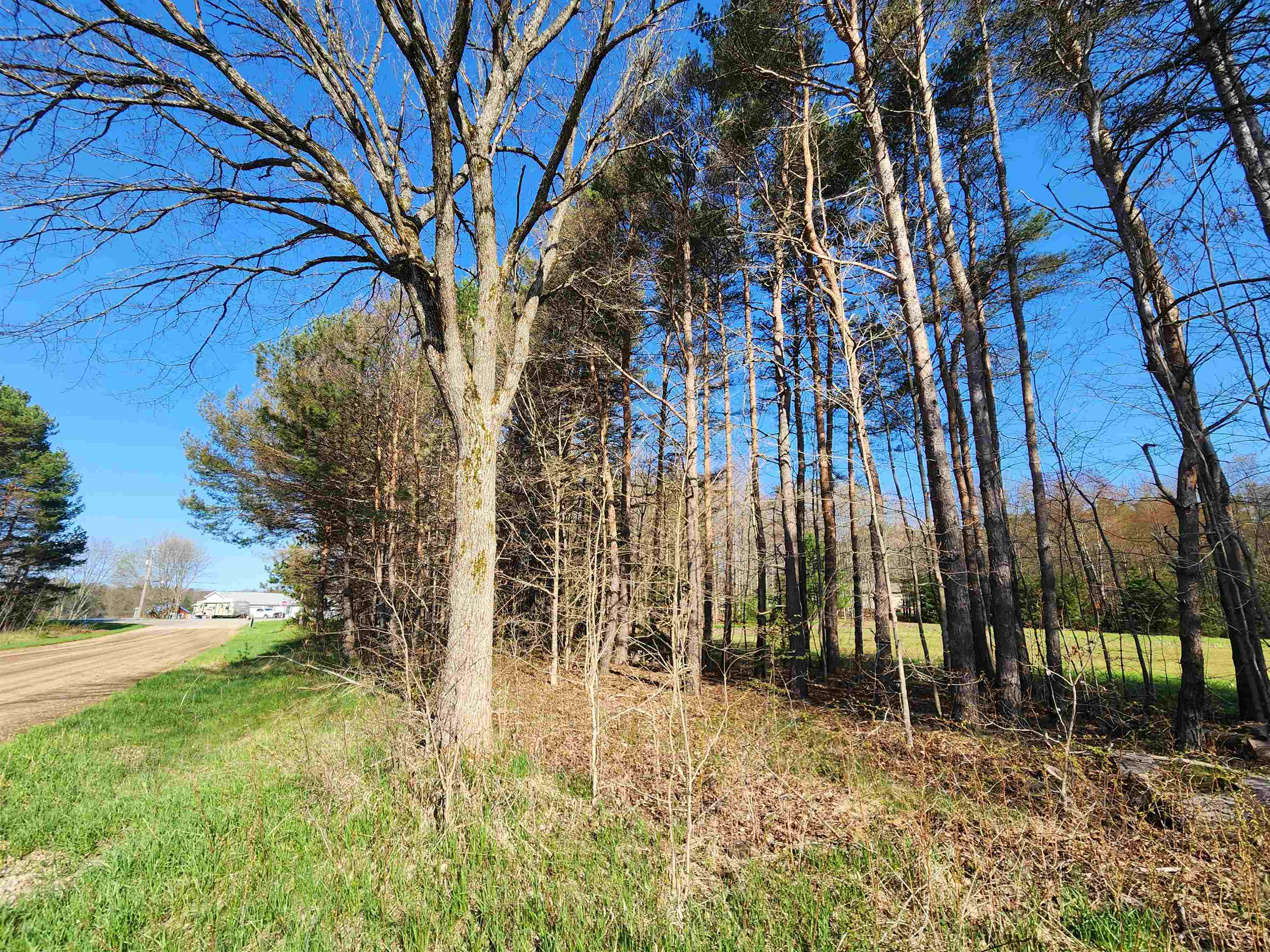 Vl East 30 Road Cadillac, MI 49601 - Photo 2 of 6