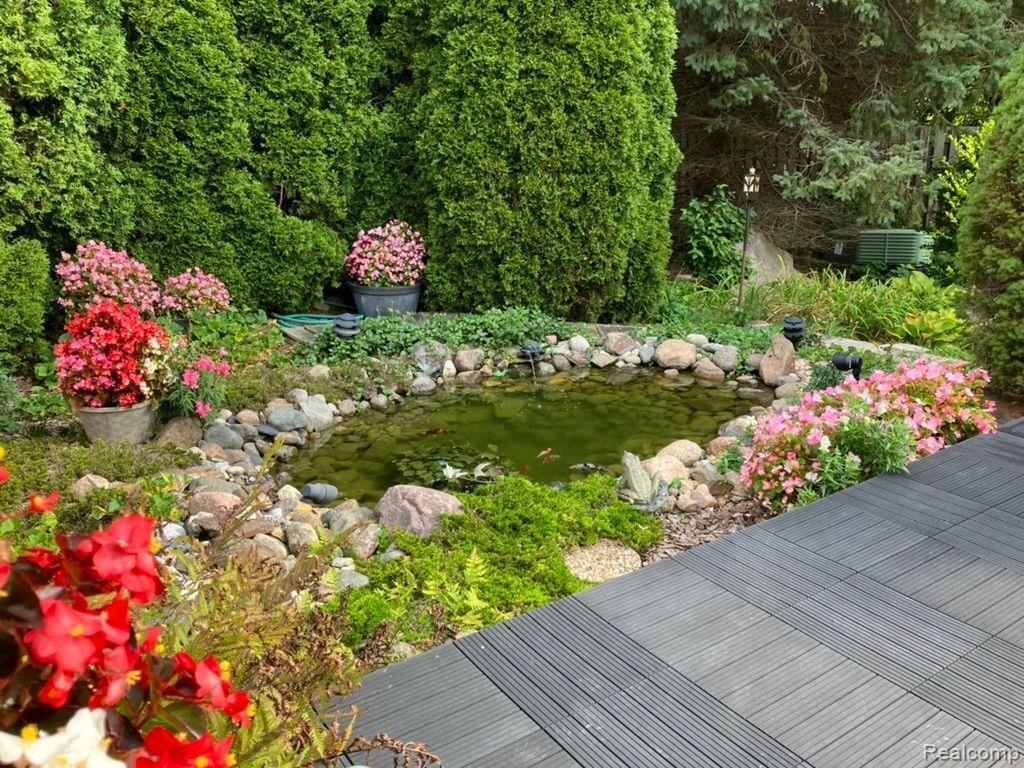 42 Foxboro Drive Rochester, MI 48309 - Photo 10 of 32 Koi pond