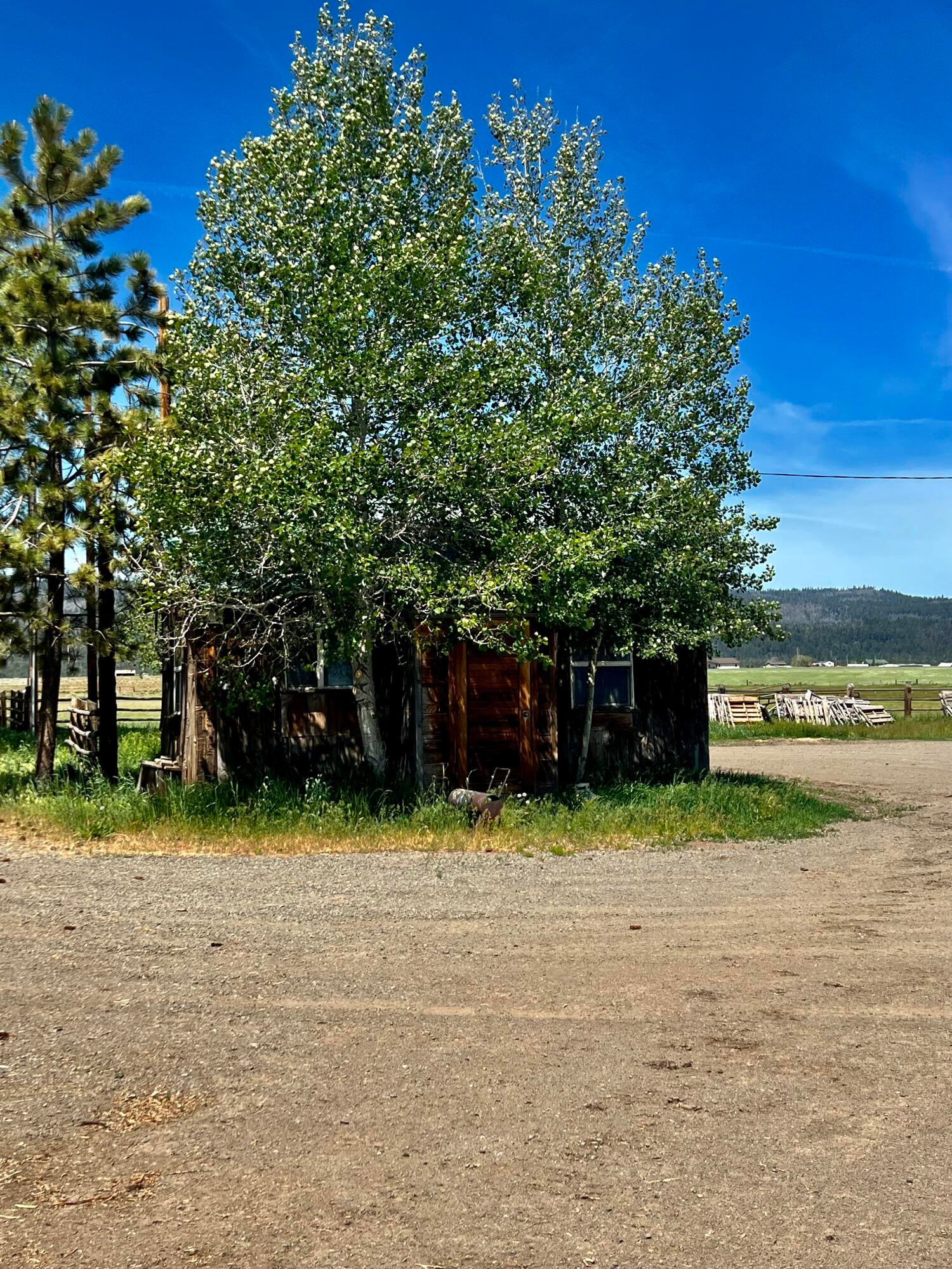 12525 West Side Road Lakeview, OR 97630 - Photo 11 of 40 IMG-8849