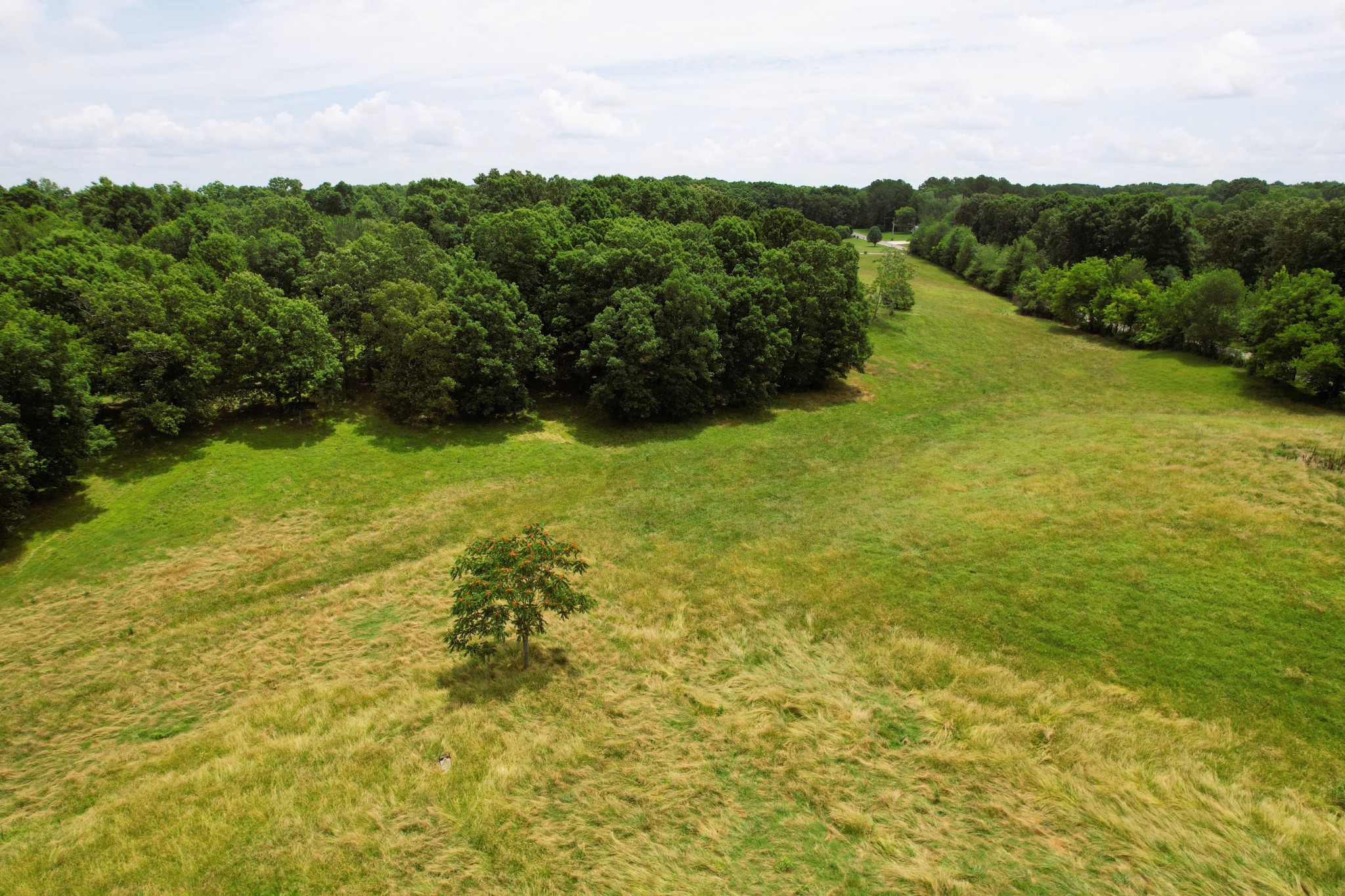 0 Crowder Road Lawrenceburg, TN 38464 - Photo 27 of 58