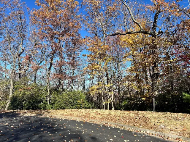 a view of outdoor space with trees