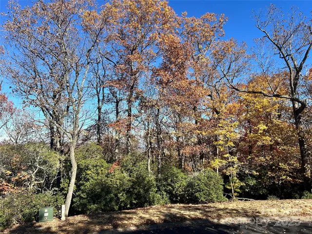 a view of a yard with a tree
