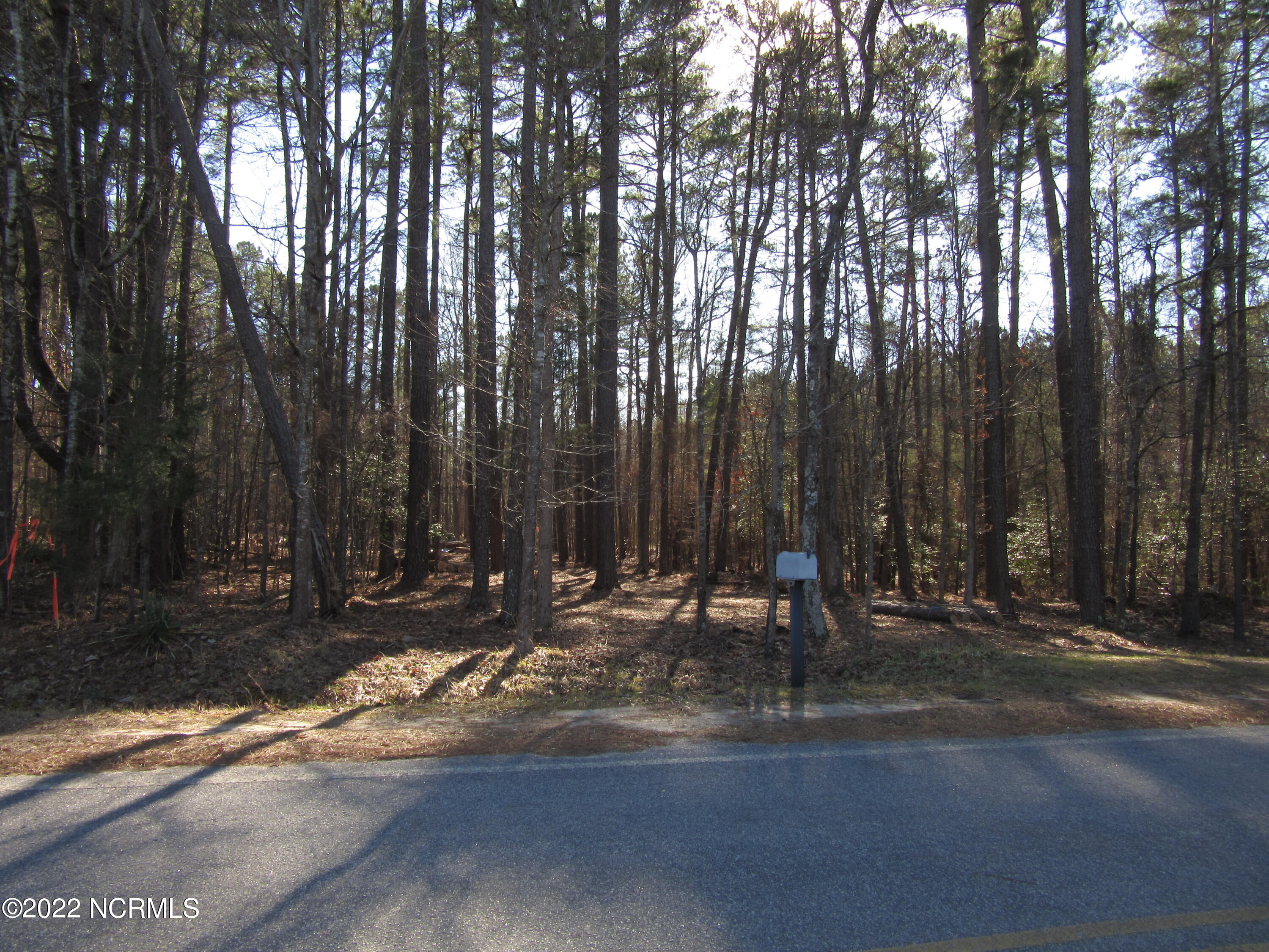 0 Denton Road Middlesex, NC 27557 - Photo 3 of 8 IMG_0507