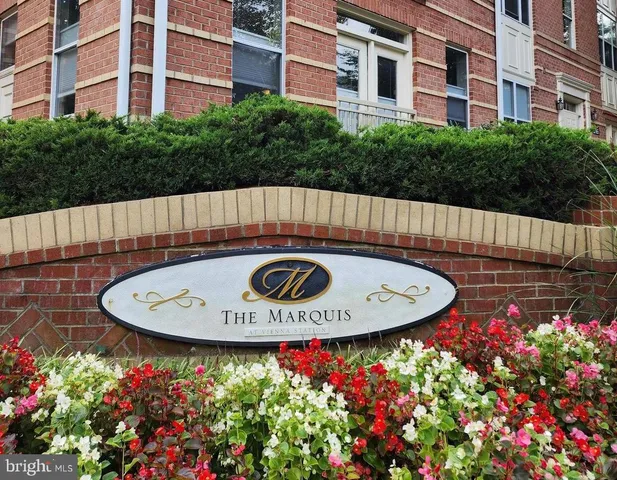 a view of a swimming pool with a flower in pots