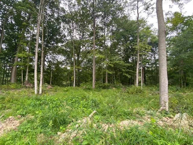 $750,000 | 10380 Holliday Farms Boulevard, Zionsville, IN 46077