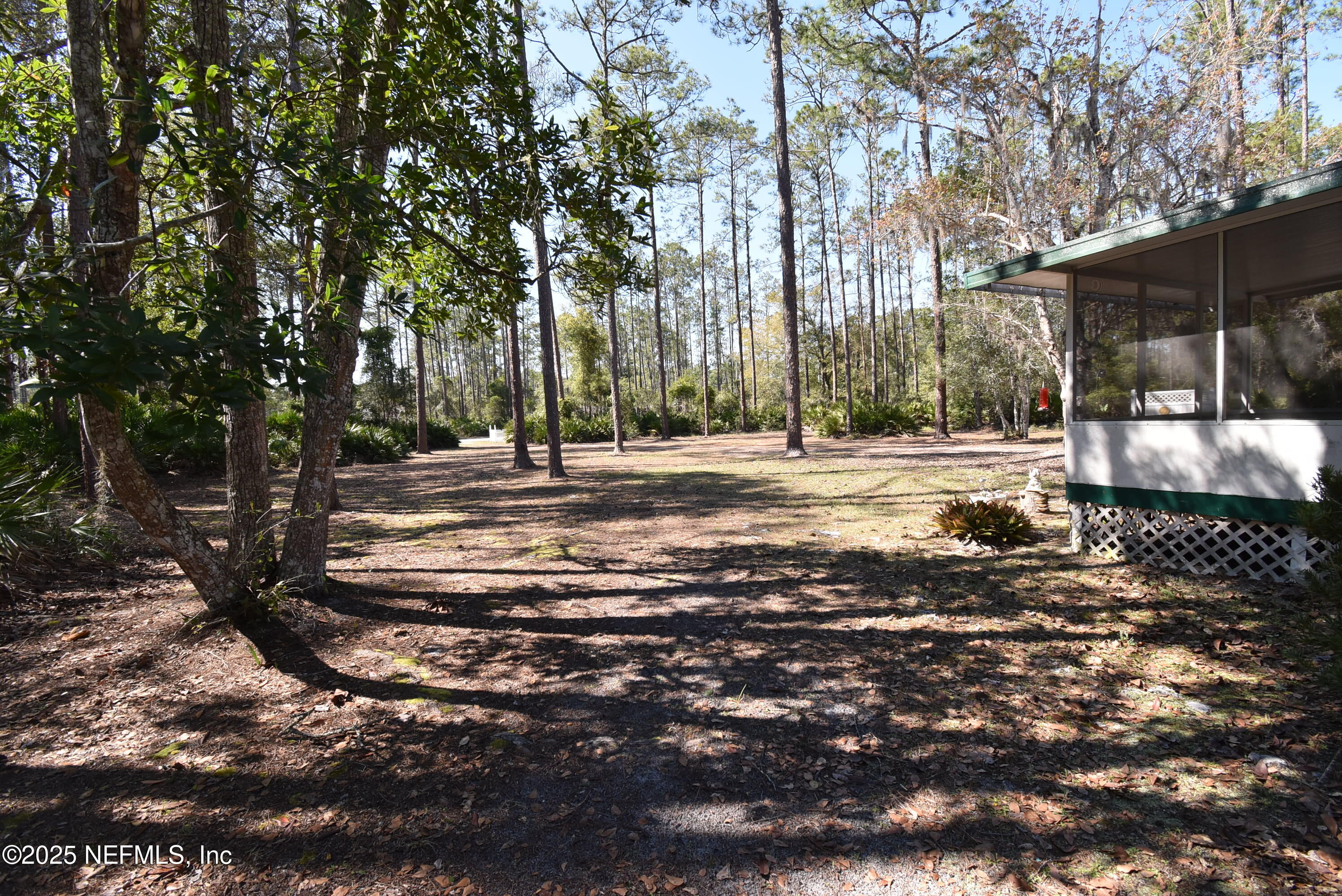 132 Whispering Pines Road Georgetown, FL 32139 - Photo 11 of 40 DSC_0233