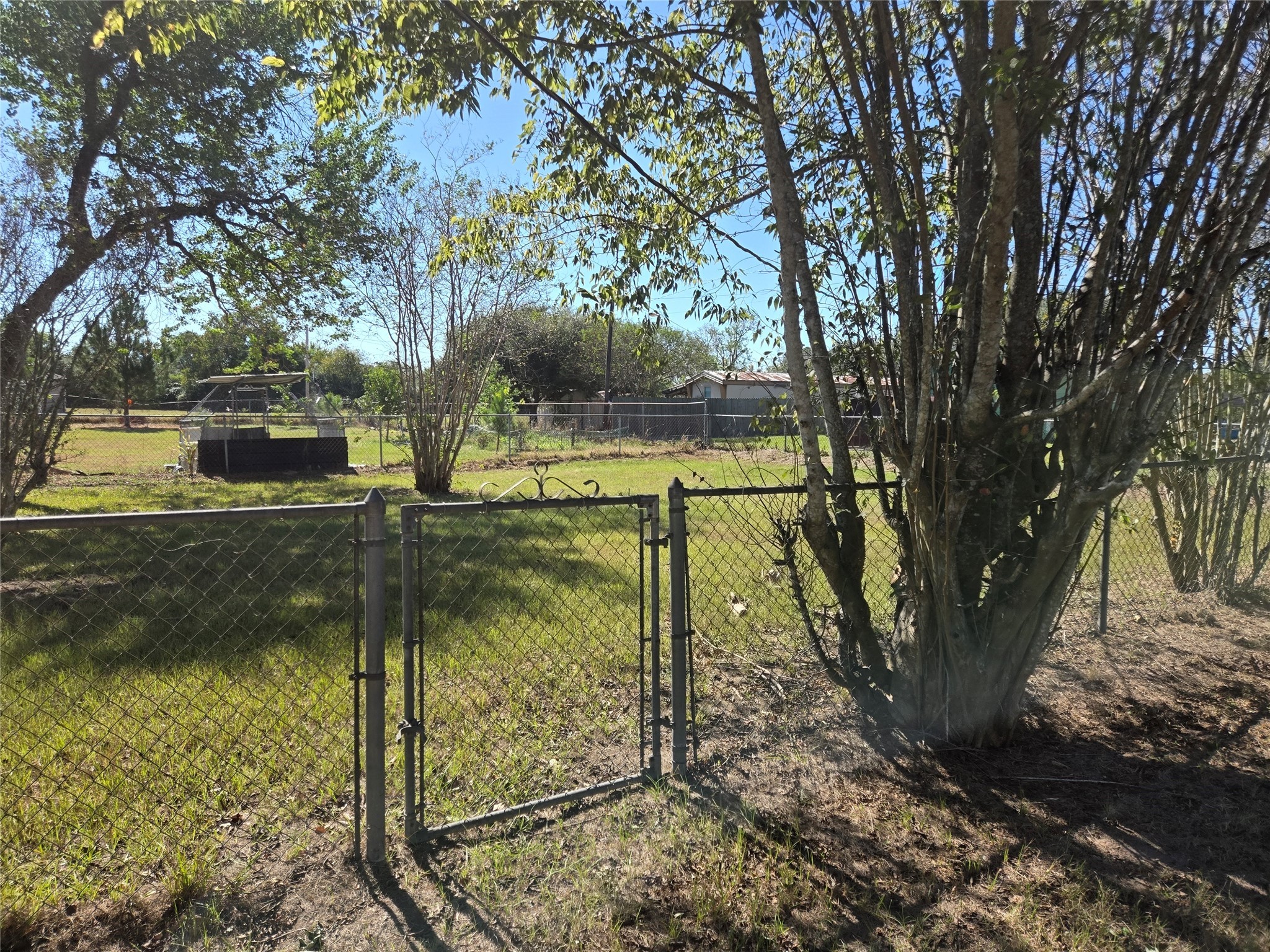 1305 2nd Street Hempstead, TX 77445 - Photo 2 of 24 a backyard of a house with lots of green space