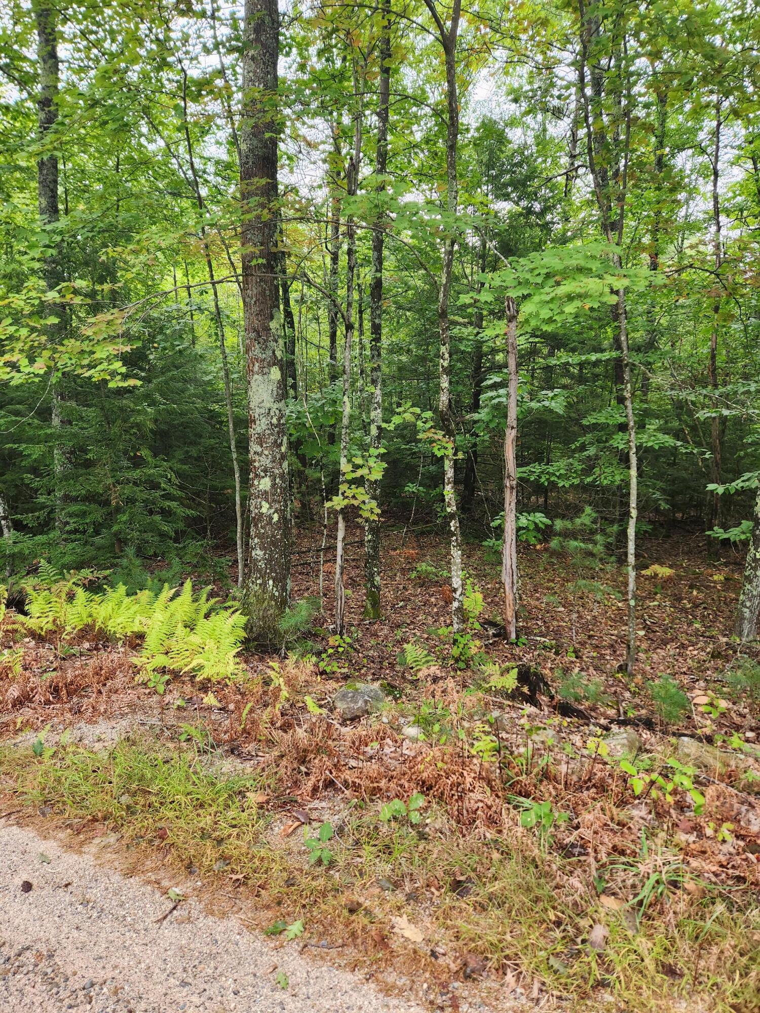 Lot # Coley Trafton Road Shapleigh, ME 04076 - Photo 2 of 8 coley 7
