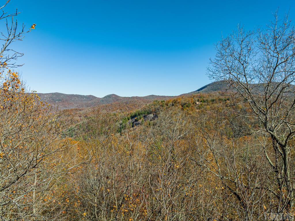 Tbd Buck Knob Road Highlands, NC 28741 - Photo 8 of 13 Gallery Image 8