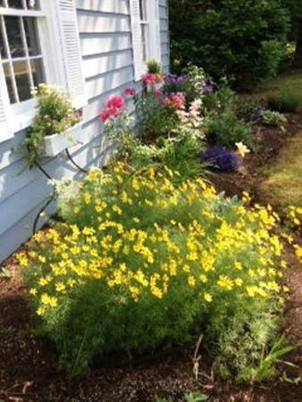 129 Normandy Road Longmeadow, MA 01106 - Photo 4 of 28 Gallery Image 4