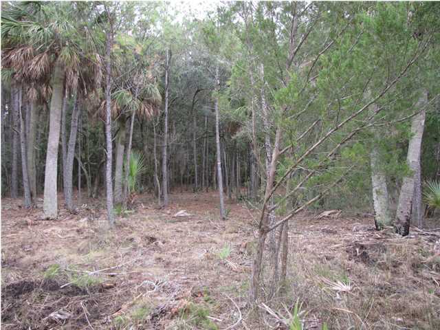 8054 Russell Creek Road Edisto Island, SC 29438 - Photo 4 of 4 Additional Photo