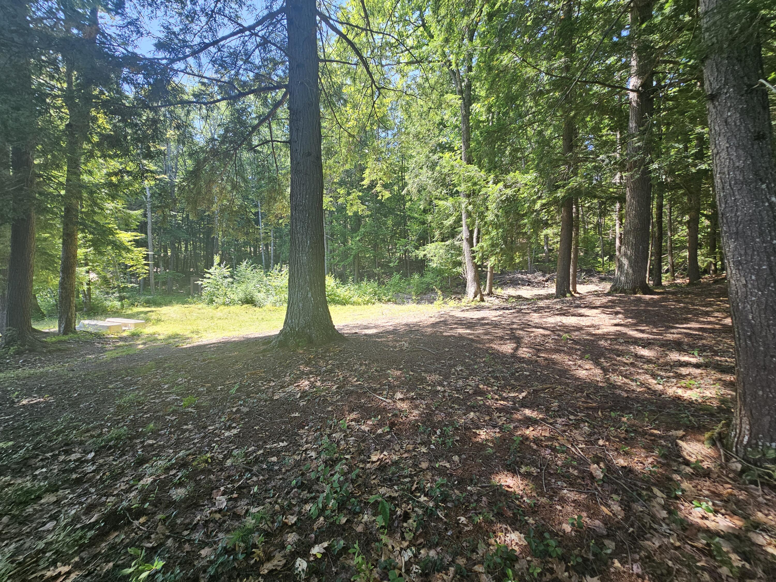 Lot U17-6 Lot U17-6 Narrow Gauge Trail Hiram, ME 04041 - Photo 23 of 44 2025-08-13 12.28.06