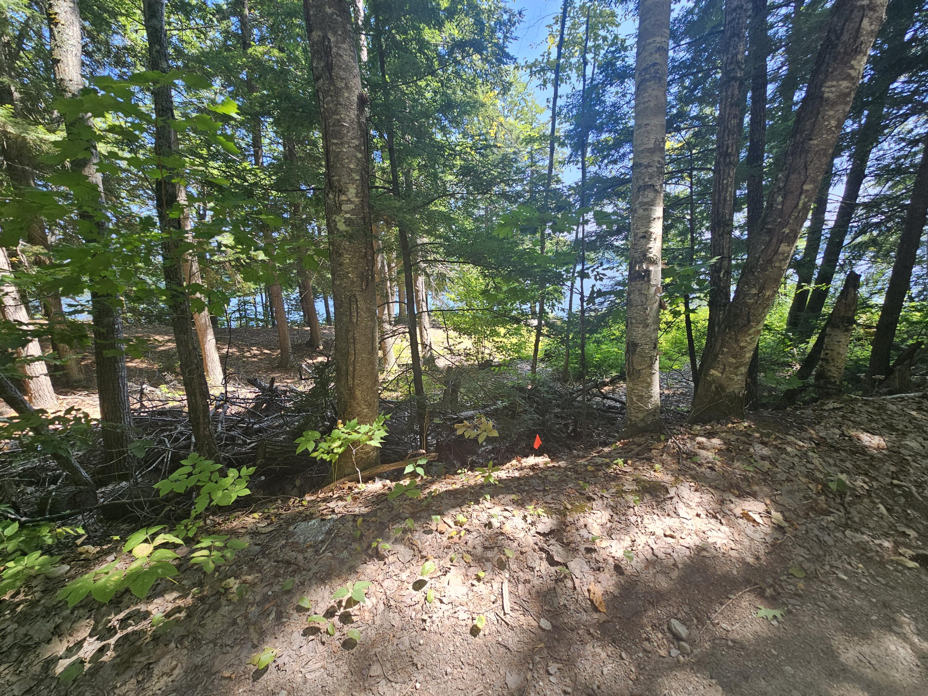 Lot U17-6 Lot U17-6 Narrow Gauge Trail Hiram, ME 04041 - Photo 43 of 44 2025-08-13 12.22.45