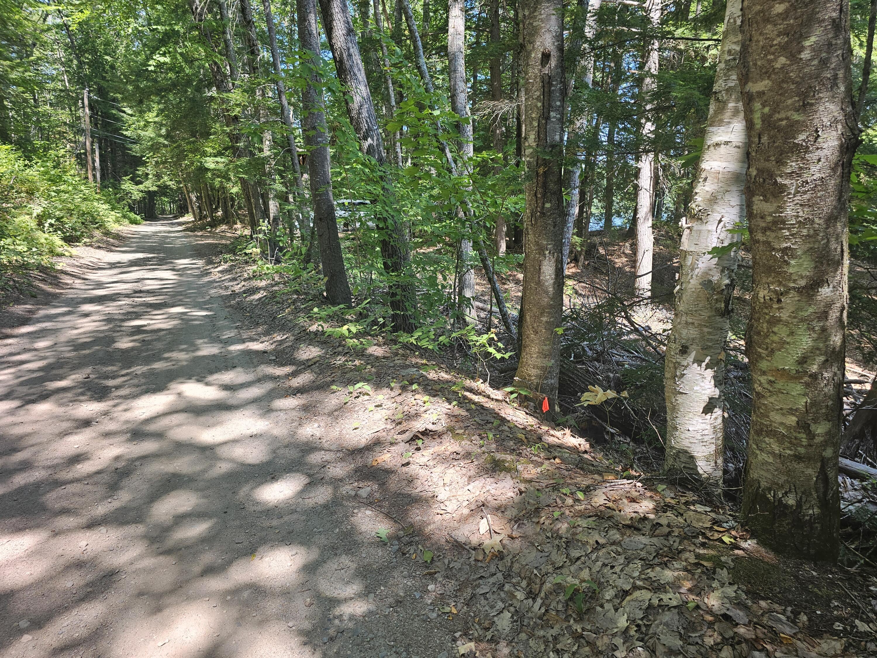 Lot U17-6 Lot U17-6 Narrow Gauge Trail Hiram, ME 04041 - Photo 44 of 44 2025-08-13 12.22.36