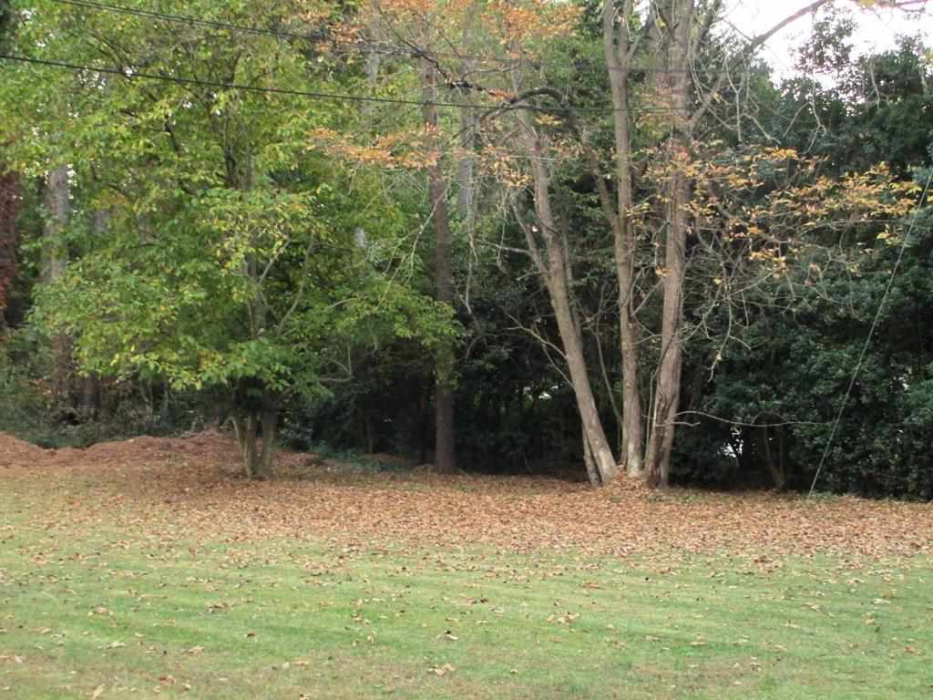 403 Phil Watson Road Anderson, SC 29625 - Photo 23 of 23 Gallery Image 23