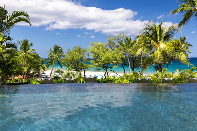 a view of a yard with yellow house