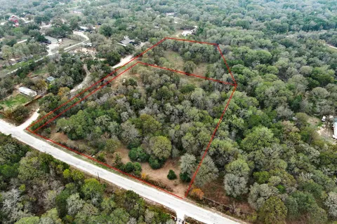 a view of a forest from a window